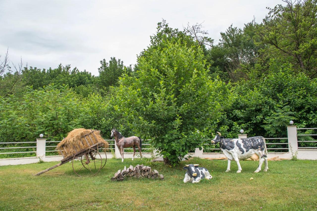 Chukhur Gabala Museum Hotel Bagian luar foto